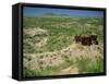 Olduvai Gorge, Serengeti, Tanzania, East Africa, Africa-Nigel Callow-Framed Stretched Canvas