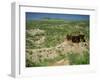 Olduvai Gorge, Serengeti, Tanzania, East Africa, Africa-Nigel Callow-Framed Photographic Print