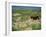 Olduvai Gorge, Serengeti, Tanzania, East Africa, Africa-Nigel Callow-Framed Photographic Print