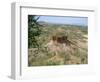 Olduvai Gorge, UNESCO World Heritage Site, Serengeti, Tanzania, East Africa, Africa-Pate Jenny-Framed Photographic Print