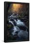 Essential Black