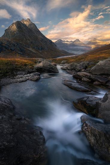 Premium Photographic Print, , large