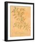 Olea Europaea-Linda Baliko-Framed Art Print