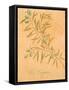 Olea Europaea-Linda Baliko-Framed Stretched Canvas