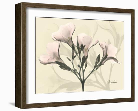 Oleander Moments-Albert Koetsier-Framed Art Print