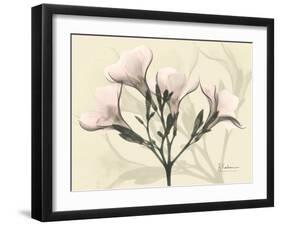 Oleander Moments-Albert Koetsier-Framed Art Print