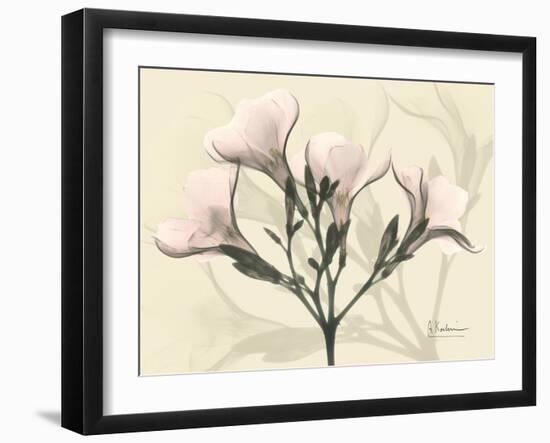 Oleander Moments-Albert Koetsier-Framed Art Print