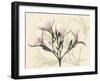 Oleander Moments-Albert Koetsier-Framed Art Print