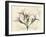 Oleander Moments-Albert Koetsier-Framed Art Print