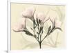 Oleander Moments-Albert Koetsier-Framed Art Print