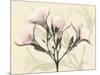 Oleander Moments-Albert Koetsier-Mounted Art Print