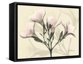 Oleander Moments-Albert Koetsier-Framed Stretched Canvas