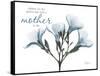 Oleander Mother-Albert Koetsier-Framed Stretched Canvas