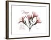 Oleander Peace-Albert Koetsier-Framed Premium Giclee Print