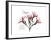 Oleander Peace-Albert Koetsier-Framed Premium Giclee Print