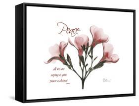 Oleander Peace-Albert Koetsier-Framed Stretched Canvas