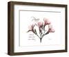 Oleander Peace-Albert Koetsier-Framed Premium Giclee Print