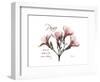 Oleander Peace-Albert Koetsier-Framed Premium Giclee Print