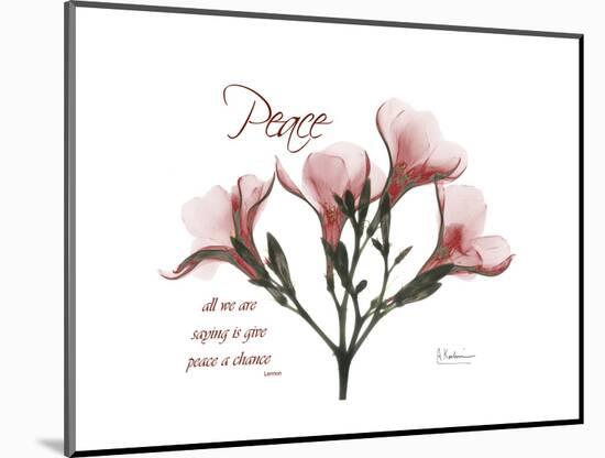 Oleander Peace-Albert Koetsier-Mounted Premium Giclee Print