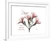 Oleander Peace-Albert Koetsier-Framed Premium Giclee Print