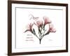 Oleander Peace-Albert Koetsier-Framed Premium Giclee Print