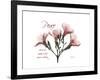 Oleander Peace-Albert Koetsier-Framed Premium Giclee Print