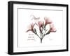 Oleander Peace-Albert Koetsier-Framed Premium Giclee Print