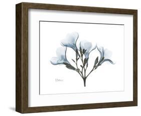 Oleander Portrait-Albert Koetsier-Framed Premium Giclee Print