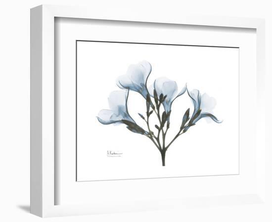 Oleander Portrait-Albert Koetsier-Framed Premium Giclee Print