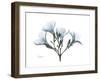 Oleander Portrait-Albert Koetsier-Framed Premium Giclee Print