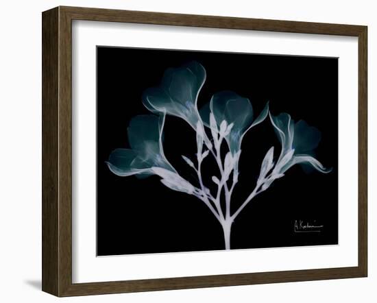 Oleander Whispers-Albert Koetsier-Framed Art Print