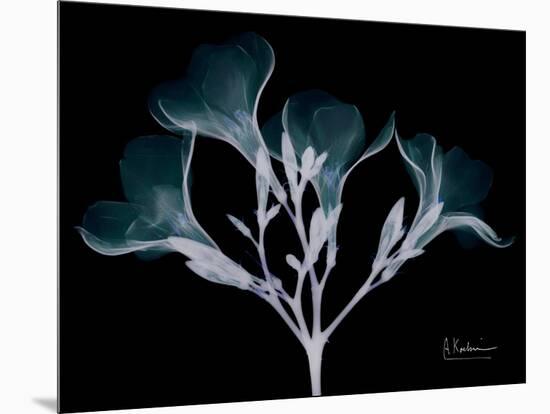 Oleander Whispers-Albert Koetsier-Mounted Art Print