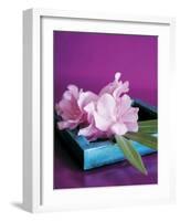 Oleander-Amelie Vuillon-Framed Art Print