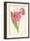 Oleander-Frederick Edward Hulme-Framed Giclee Print