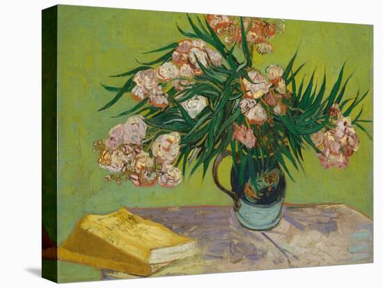 Oleanders-Vincent van Gogh-Stretched Canvas