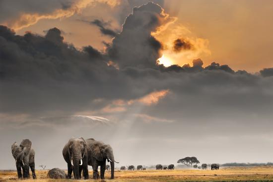 Photographic Print, , large