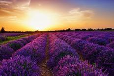 Stunning Landscape with Lavender Field at Sunset. Plateau of Valensole, Provence, France-Oleg Znamenskiy-Photographic Print