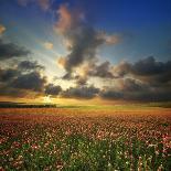 Beautiful Seascape. Deep Blue Sky at Sunny Day. Sky Background-Oleh Honcharenko-Photographic Print