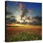 Stretched Canvas