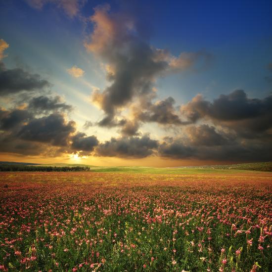 Premium Photographic Print, , large