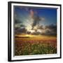 Chelsea Black