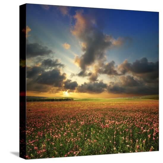 Stretched Canvas Print, , large