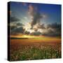 Stretched Canvas