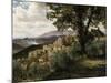 Olevano, 1856-57-Albert Bierstadt-Mounted Giclee Print