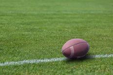 American Rugby Ball on the Grass-Olexandr-Photographic Print
