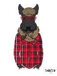 Scottish Terrier in Pin Plaid Shirt-Olga Angellos-Framed Art Print