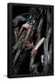 Essential Black