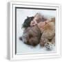 White Frame
