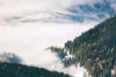 Winter Forest in a Foggy Morning-Olga_Gavrilova-Photographic Print