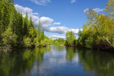 Upper reaches of the Lena River, with century-old log jam of trees, Siberia, Russia-Olga Kamenskaya-Photographic Print